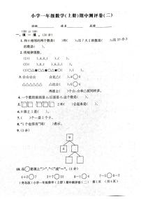 山东省聊城市莘县2025-2026学年一年级上学期11月期中数学试题
