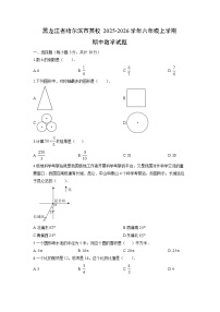 黑龙江省哈尔滨市某校2025-2026学年六年级上学期期中数学试卷（学生版）