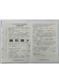 山东省德州市齐河县2024-2025学年五年级上学期期末测试数学试题