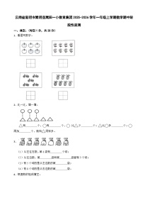 云南省昆明市嵩明县嵩阳一小教育集团2025-2026学年一年级上学期数学期中阶段性监测（含解析）