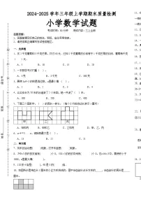期末培优高频易错押题卷(试题)-2024-2025学年三年级上册数学苏教版A3版-A4