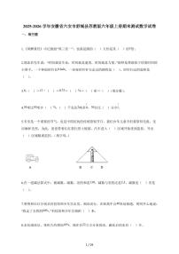 2025-2026学年安徽省六安市舒城县苏教版六年级上册期末测试数学试题