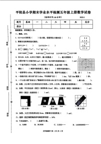 浙江省温州市平阳县2024-2025学年五年级上学期期末数学试题