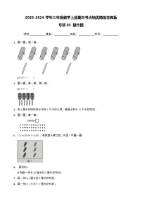 （期末考点培优）专项05 操作题-2025-2026学年三年级数学上册期末考点培优精练苏教版（含答案解析）