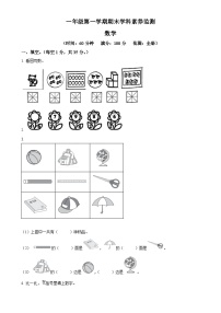 2024-2025学年安徽省亳州市利辛县城关镇北师大版一年级上册期末测试数学试卷（原卷版）-A4