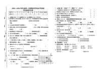 广东省惠州市惠阳区2024-2025学年四年级上学期期末数学试题