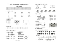 广东省惠州市惠阳区2024-2025学年一年级上学期期末考试数学试题