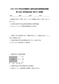 苏教版（2024）用字母表示数同步练习题