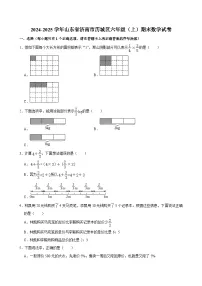 2024-2025学年山东省济南市历城区六年级（上）期末数学试卷