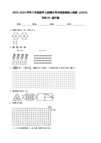 （期末考点培优）专项05 操作题-2025-2026学年三年级数学上册期末考点培优精练人教版（2024）（含答案解析）