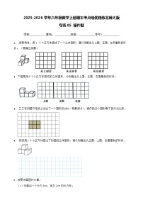 （期末考点培优）专项05 操作题-2025-2026学年六年级数学上册期末考点培优精练北师大版（含答案解析）