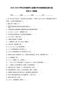 （期末考点培优）专项03 判断题-2025-2026学年五年级数学上册期末考点培优精练北师大版（含答案解析）