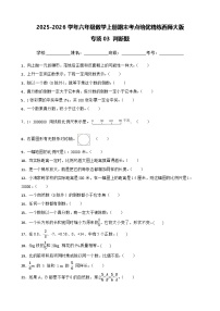 （期末考点培优）专项03 判断题-2025-2026学年六年级数学上册期末考点培优精练西师大版（含答案解析）