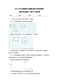 （期末考点培优）专题05 操作题-2026年六年级数学下册期末复习专项苏教版练习（含答案解析）