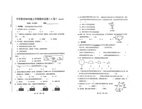 山东省济南市历下区2024-2025学年四年级上学期期末数学试卷