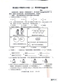 山东省聊城市冠县2024-2025学年六年级上学期1月期末数学试题
