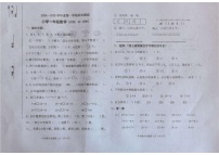 山东省烟台市龙口市2024-2025学年一年级上学期1月期末数学试题