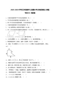 （期末考点）2025-2026学年五年级数学上册期末考点培优精练人教版专项03 判断题（含答案解析）