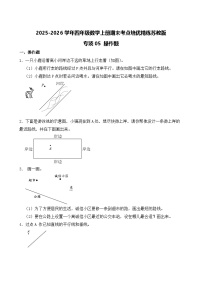 （期末考点）2025-2026学年四年级数学上册期末考点培优精练苏教版专项05 操作题（含答案解析）