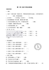 小学数学人教版（2024）三年级下册（2024）剪纸精练
