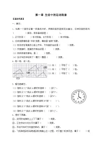 小学数学人教版（2024）三年级下册（2024）剪纸精练