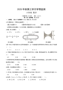 四川省绵阳市外国语学校2025-2026学年度六年级上学期第三次月考数学试题（无答案）