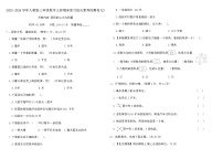2025-2026学年人教版三年级数学上册期末复综合素养检测卷(2)(含答案)