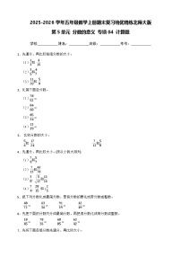 （期末考点）第5单元 分数的意义 专项04 计算题-2025-2026学年五年级数学上册期末复习培优精练北师大版（含答案解析）