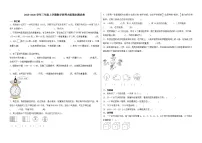 2025-2026学年三年级上学期数学西师大版期末测试卷（含答案解析）