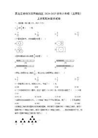 2024-2025学年黑龙江省哈尔滨市南岗区六年级（五四制）上学期期末数学试卷（学生版）