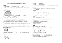 2025-2026学年四年级上学期数学期末练习（苏教版）（含答案解析）