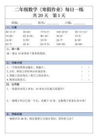 二年级数学寒假作业20天