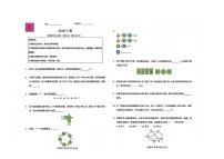 2026年1月希望数学竞赛E卷（无答案）2年级