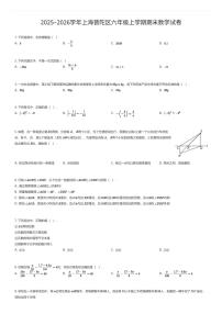 2025~2026学年上海普陀区六年级上学期期末数学试卷（有答案解析）