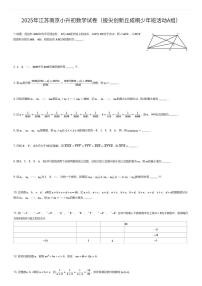 2025年江苏南京小升初数学试卷（拔尖创新丘成桐少年班活动A组）（有答案解析）