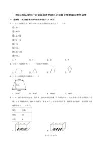 2025-2026学年广东省深圳市罗湖区六年级（上）期末数学试卷（含答案）
