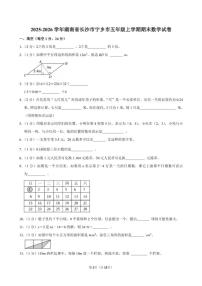 2025-2026学年湖南省长沙市宁乡市五年级（上）期末数学试卷（含答案）