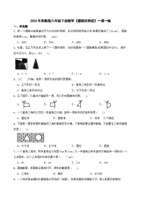 小学数学苏教版（2024）六年级下册圆柱和圆锥精品达标测试