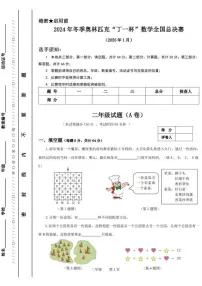 2024年冬季奥林匹克“丁一杯”数学竞赛全国总决赛二年级试题（无答案）试卷