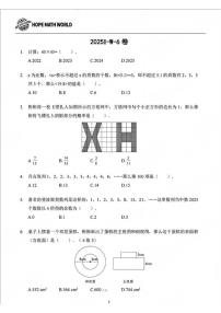 2025年希望杯夏令营竞赛六年级下学期数学（无答案）试卷