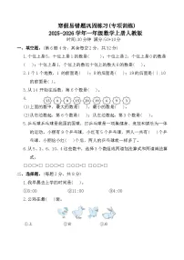 寒假易错题巩固练习(专项训练)2025-2026学年一年级数学上册人教版（含答案）