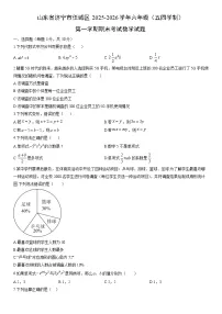 2025-2026学年山东省济宁市任城区六年级（五四学制）第一学期期末考试数学试卷（学生版）