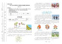 江苏省2025-2026年度世界少年奥林匹克思维能力测评活动四年级数学试题（无答案）