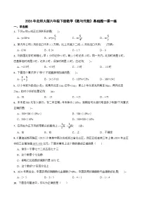 小学数学北师大版（2024）六年级下册数与代数精品同步训练题
