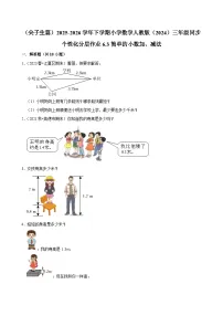 小学数学人教版（2024）三年级下册（2024）简单的小数加、减法精练