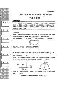 陕西渭南市临渭区故市镇杜辛小学2025-2026学年六年级上学期第二次阶段性作业数学试题（期末）