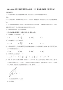 2025-2026学年上海市普陀区六年级（上）期末数学试卷(含答案)