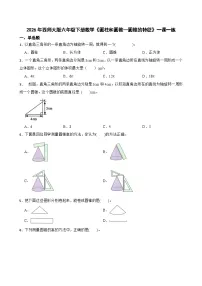 小学数学西师大版（2024）六年级下册第二单元 圆柱和圆锥圆锥精品课时练习