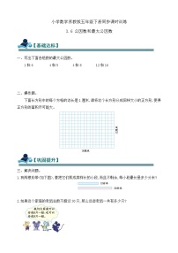 苏教版（2024）三 因数与倍数精品练习题