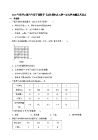 数学西师大版（2024）正比例精品习题